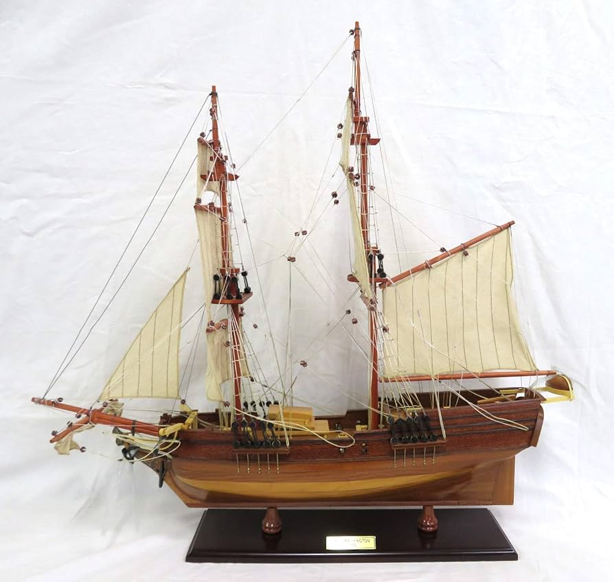 Amazon.co.jp: Lady Washington レディワシントン モデルシップ